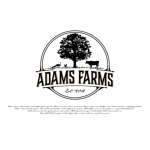Logo Design by LaLinea