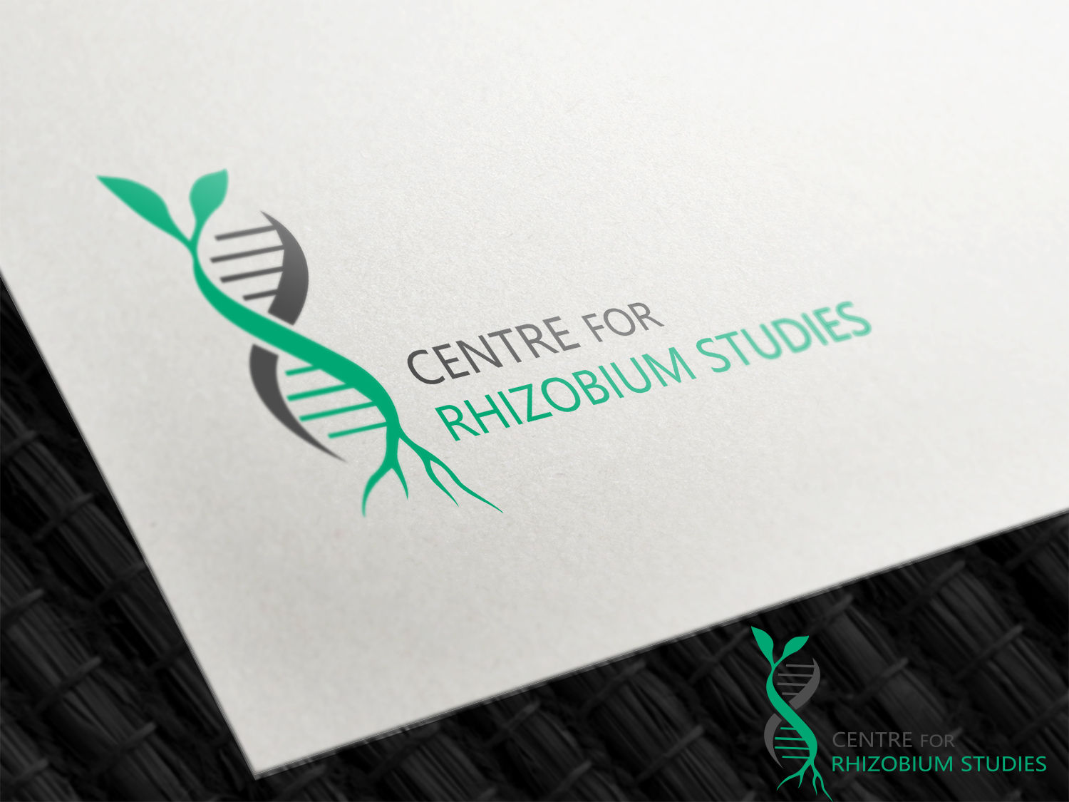 Design de Logo par nmindesign pour ce projet | Design #19378766