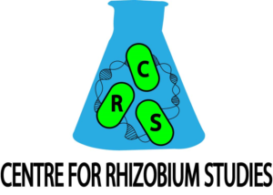 Logo Design by Gerry 5