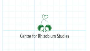 Logo Design by Mehtab 2 for this project | Design #19354161