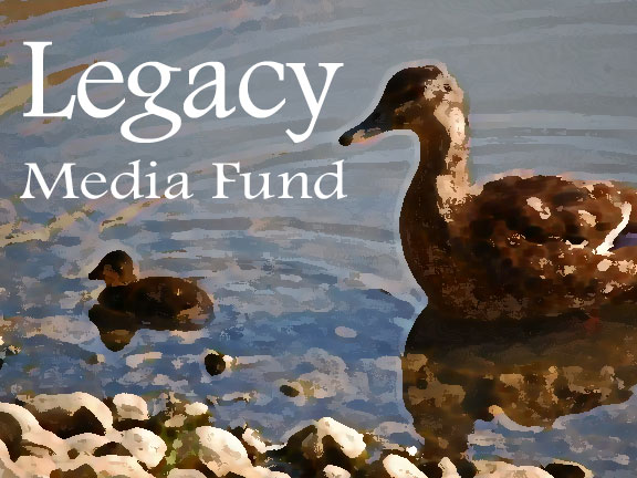 Design de Logo par PinkPoodle pour Boldmore Growth Partners | Design #2882592