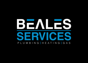Logo Design by Alleria.Designz for Benjamin Beales | Design #19367256