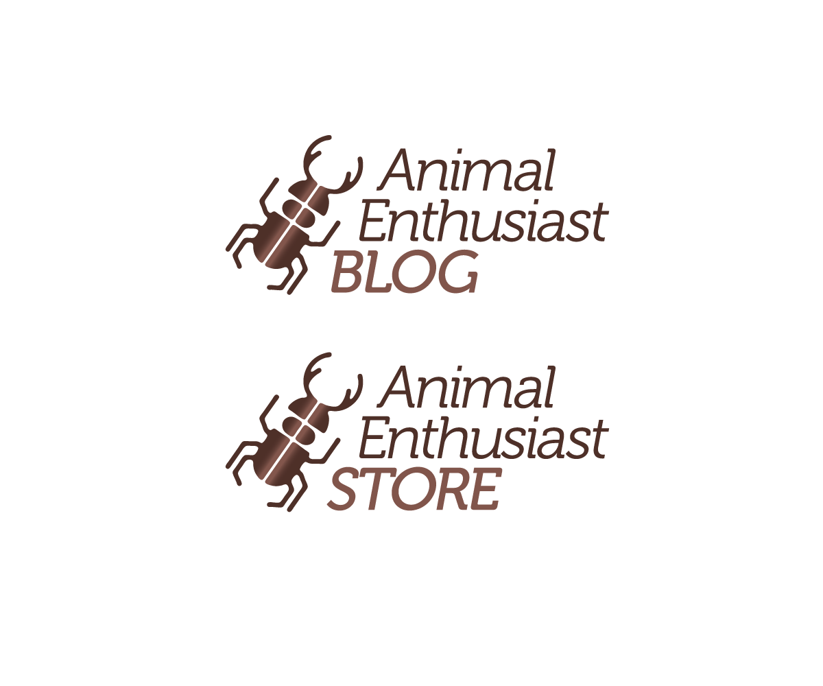 Design de Logo par Buck Tornado pour ce projet | Design #19392509