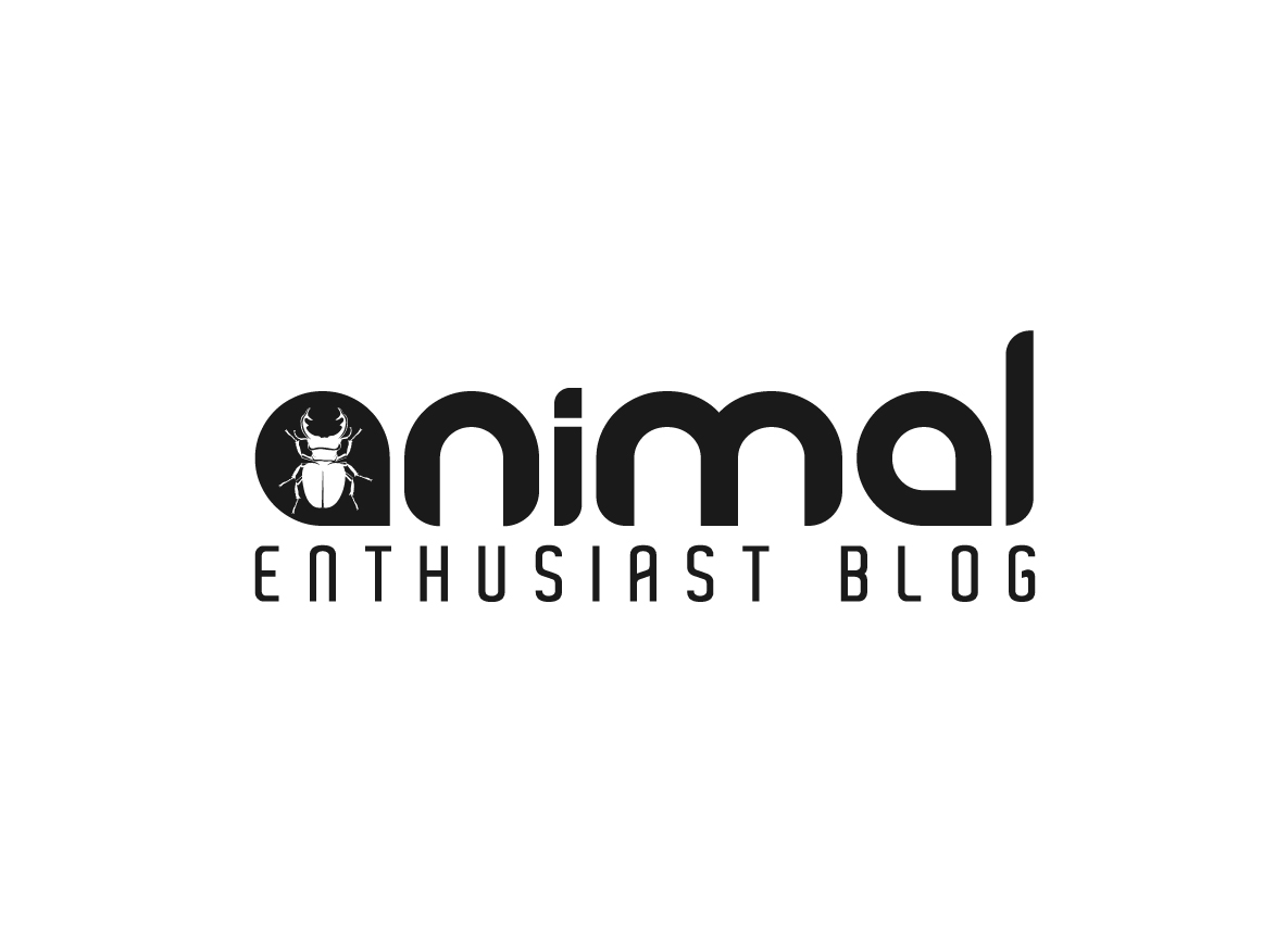 Design de Logo par creative.bugs pour ce projet | Design #19383215