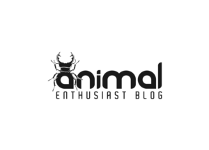 Design de Logo par creative.bugs pour ce projet | Design : #19383216