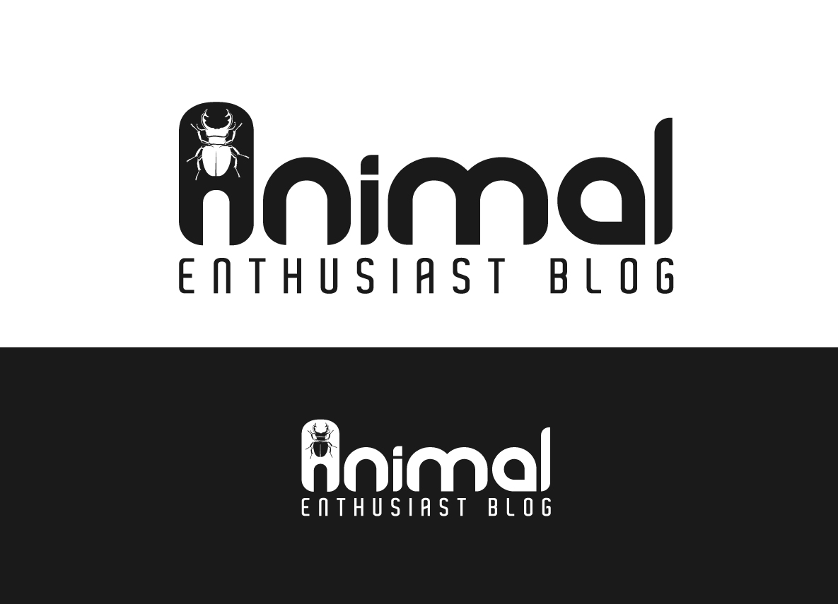 Logo Design by creative.bugs for this project | Design #19386073