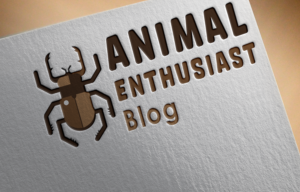 Design de Logo par AuroraDesign pour ce projet | Design #19359998