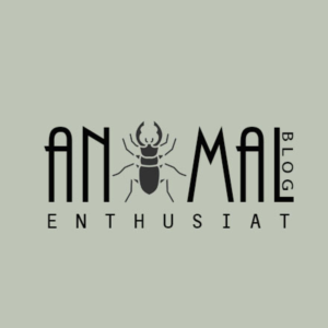 Logo Design by Nikita Jain 0509