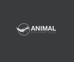 Logo Design by Shams Design for this project | Design: #19364500