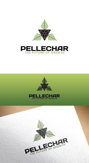 Logo Design by anshtoyj