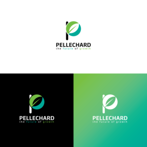 pellechar | Logo Design by ds | designstructure