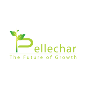 Logo Design by anang3