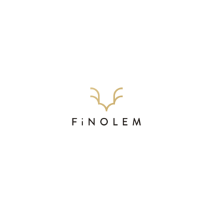 FiNOLEM  | Logo Design by Nazmul