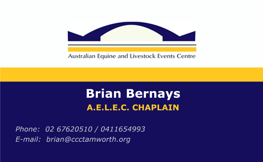 Diseño de Tarjeta de Presentación por Adriana R para este proyecto | Diseño #2879374