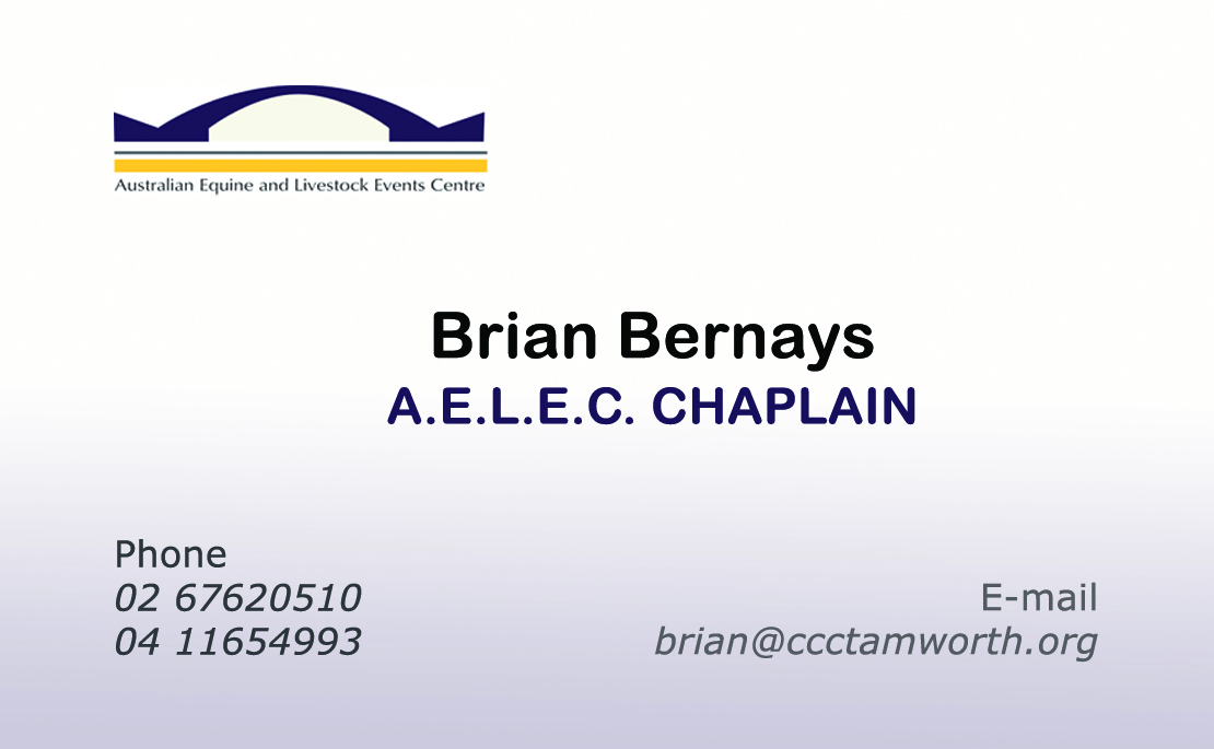 Diseño de Tarjeta de Presentación por Adriana R para este proyecto | Diseño #2879378