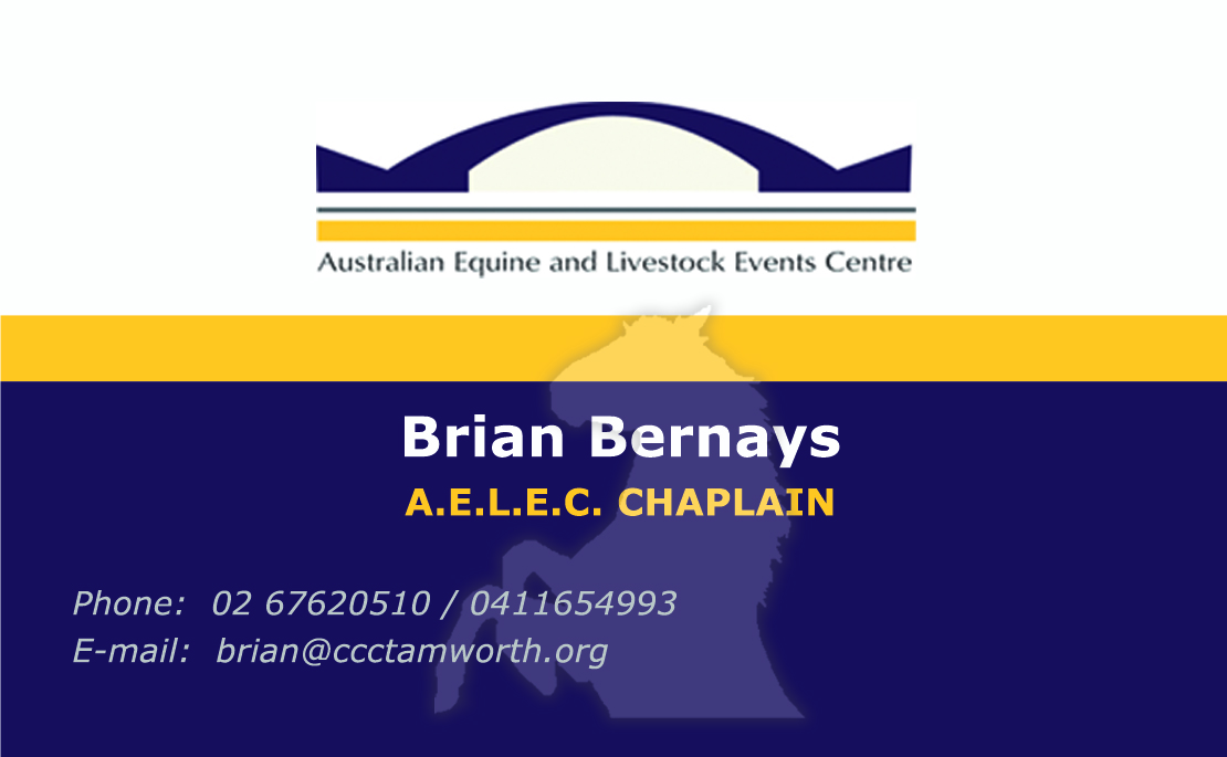 Business Card Design by Adriana R for this project | Design #2879527
