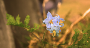 Photography by utkolok