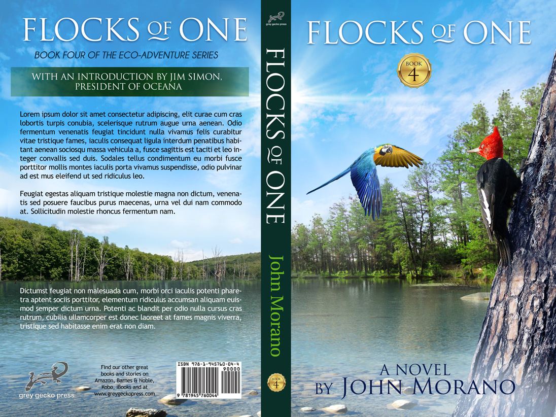 Book Cover Design by juanjoseolivieri for Grey Gecko Press | Design #19413333