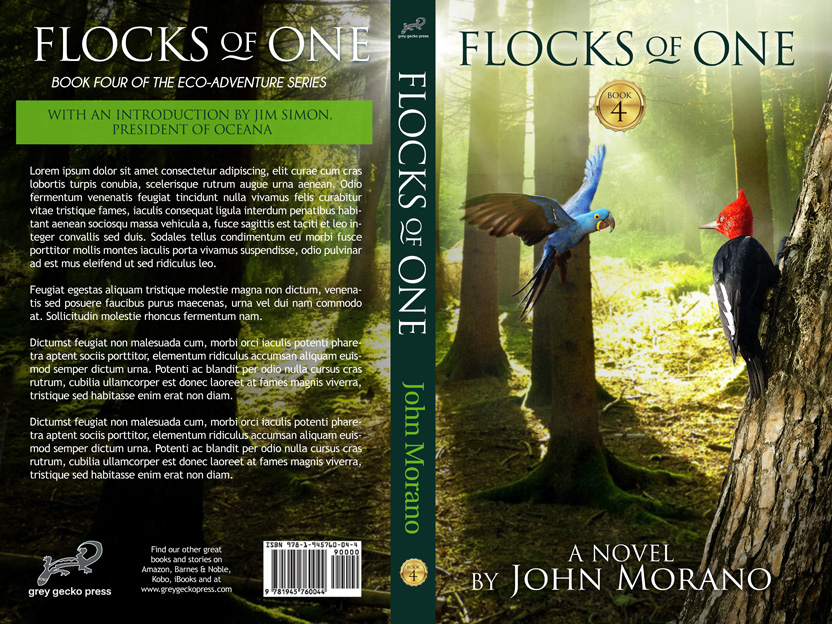 Book Cover Design by juanjoseolivieri for Grey Gecko Press | Design #19421944