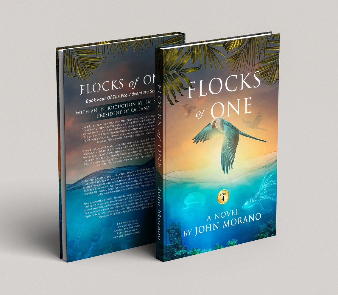 Book Cover Design by Hyperlight for Grey Gecko Press | Design #19413933