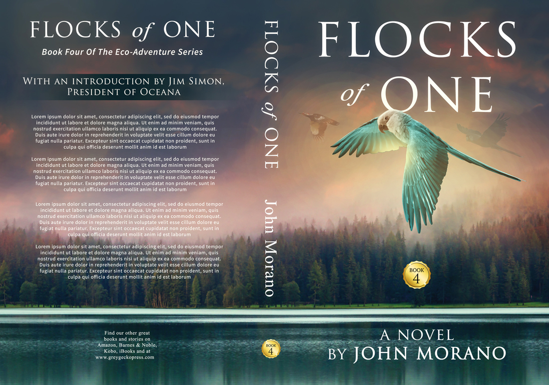 Book Cover Design by Hyperlight for Grey Gecko Press | Design #19421718