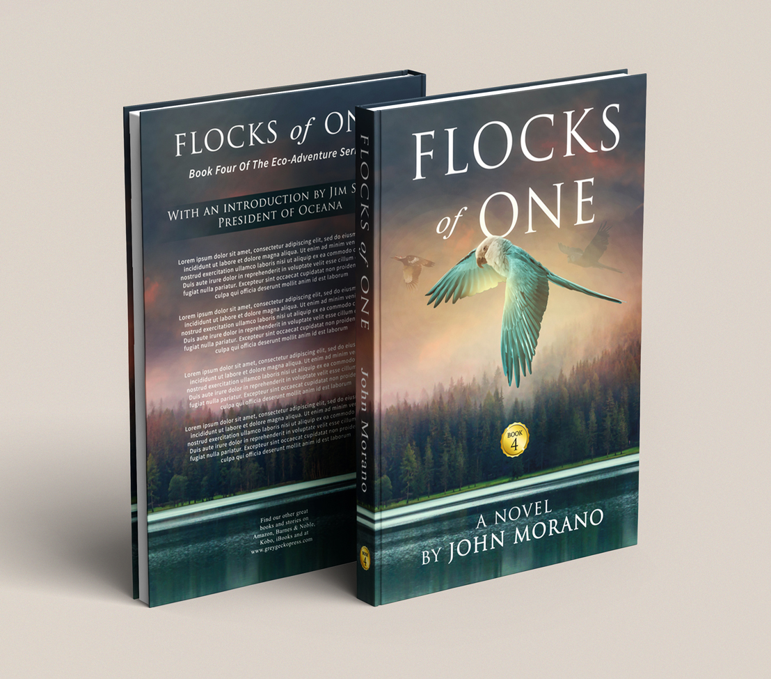 Book Cover Design by Hyperlight for Grey Gecko Press | Design #19421721