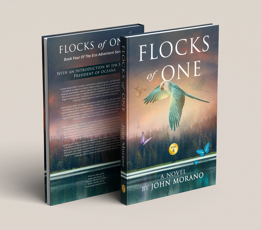 Book Cover Design by Hyperlight for Grey Gecko Press | Design #19421722