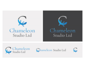 Logo Design by CC Creative Design for this project | Design: #19448213