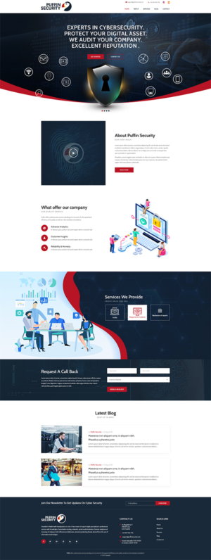 Puffin Cybersecurity Secives professional web site | Web-Design von NineTwoEleven Media