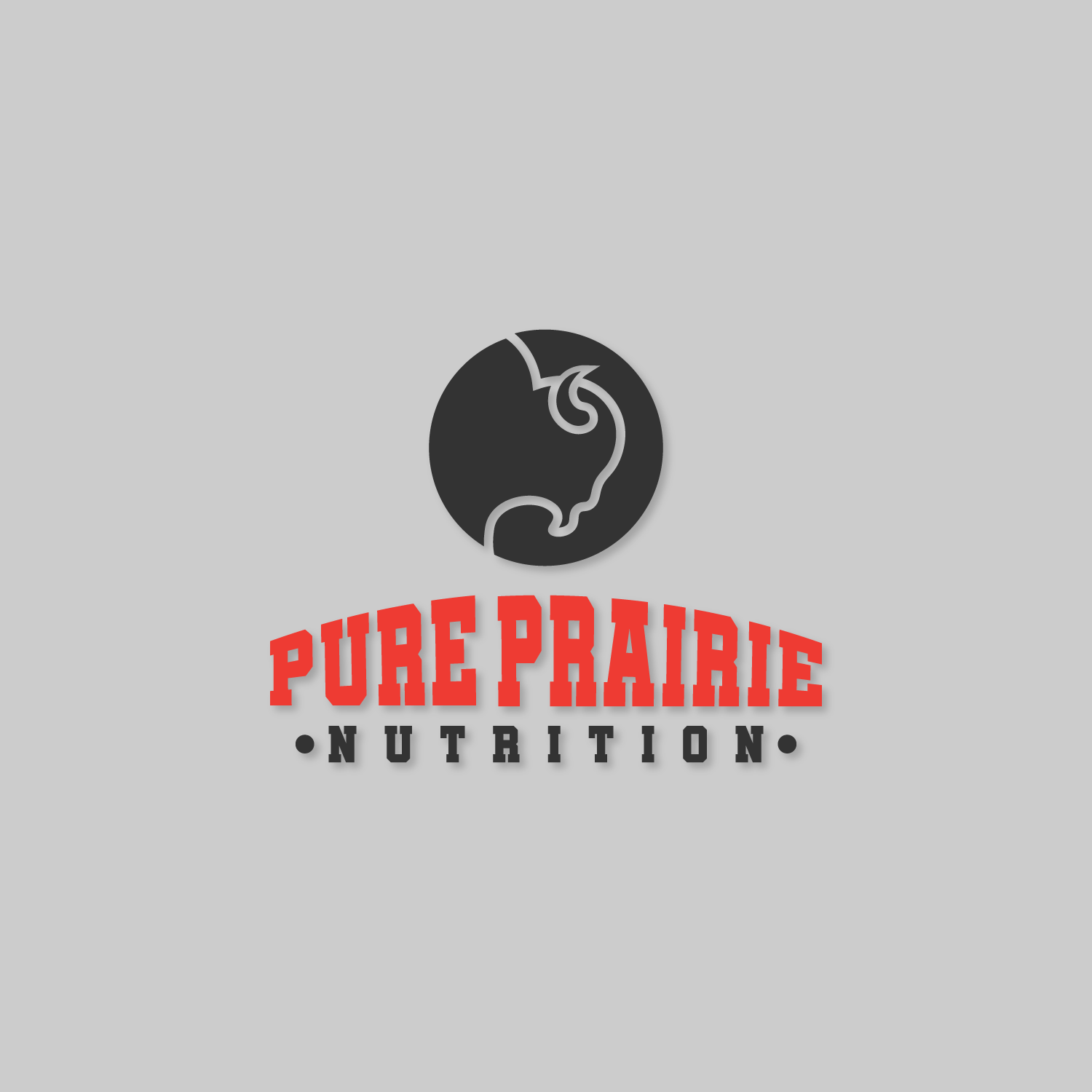 Logo Design by DANPAINEDESIGN for this project | Design #19533511