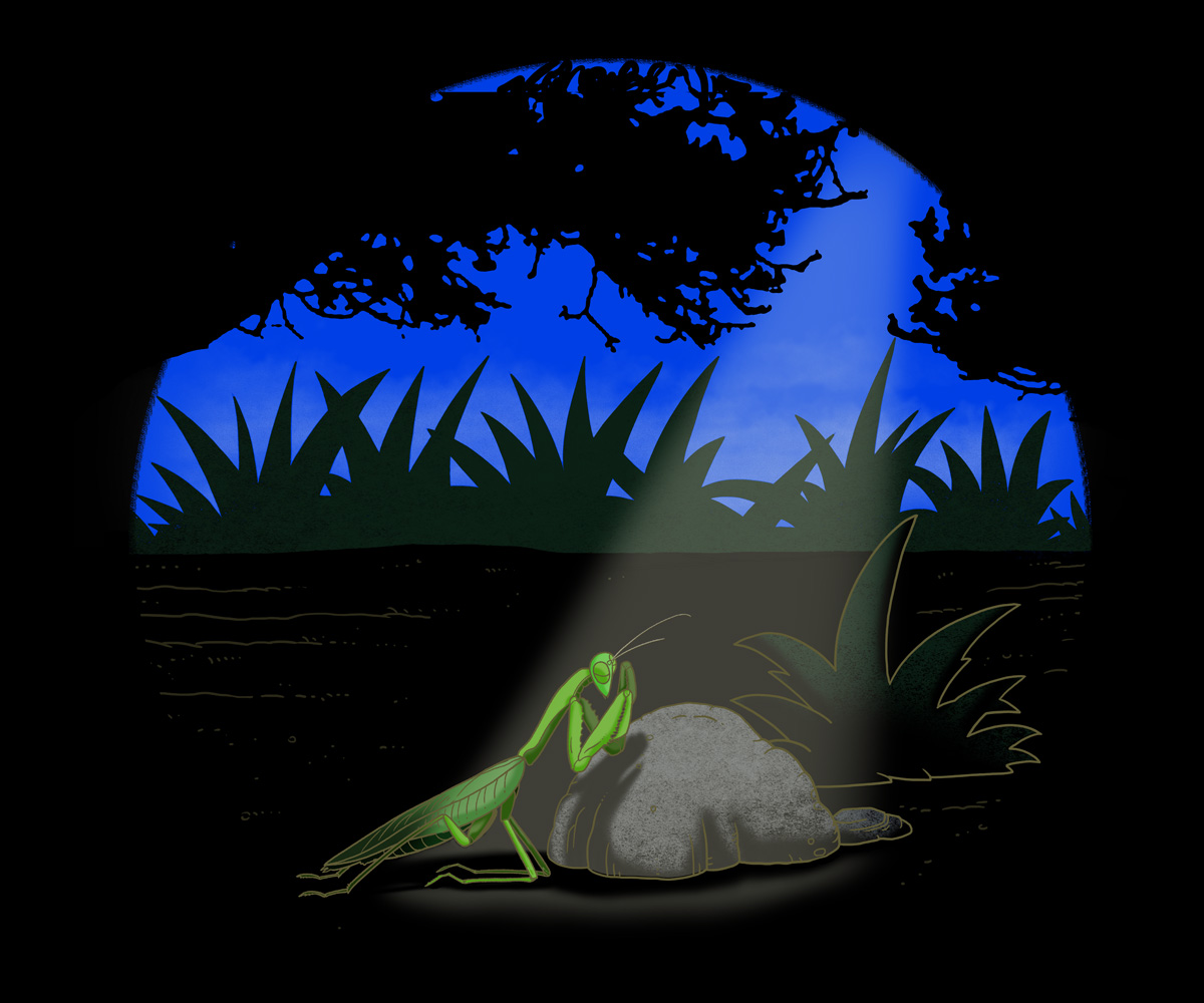 T-shirt Design by ronnie for this project | Design #2901346