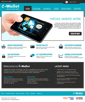psd/html for a e wallet payment website designed  | Web-Design von jeckx2