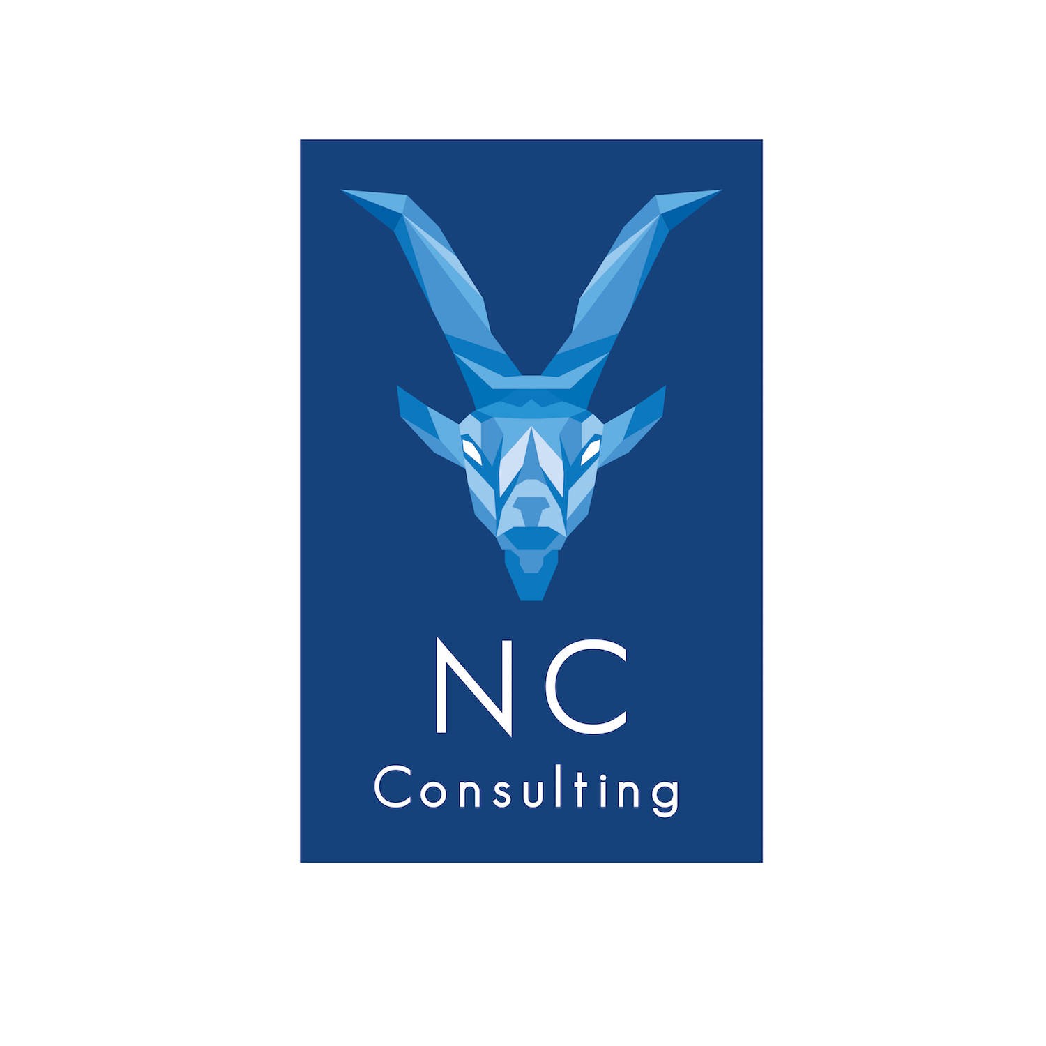 Diseño de Logo por idyan para Nabil Charifi | Diseño #19437751