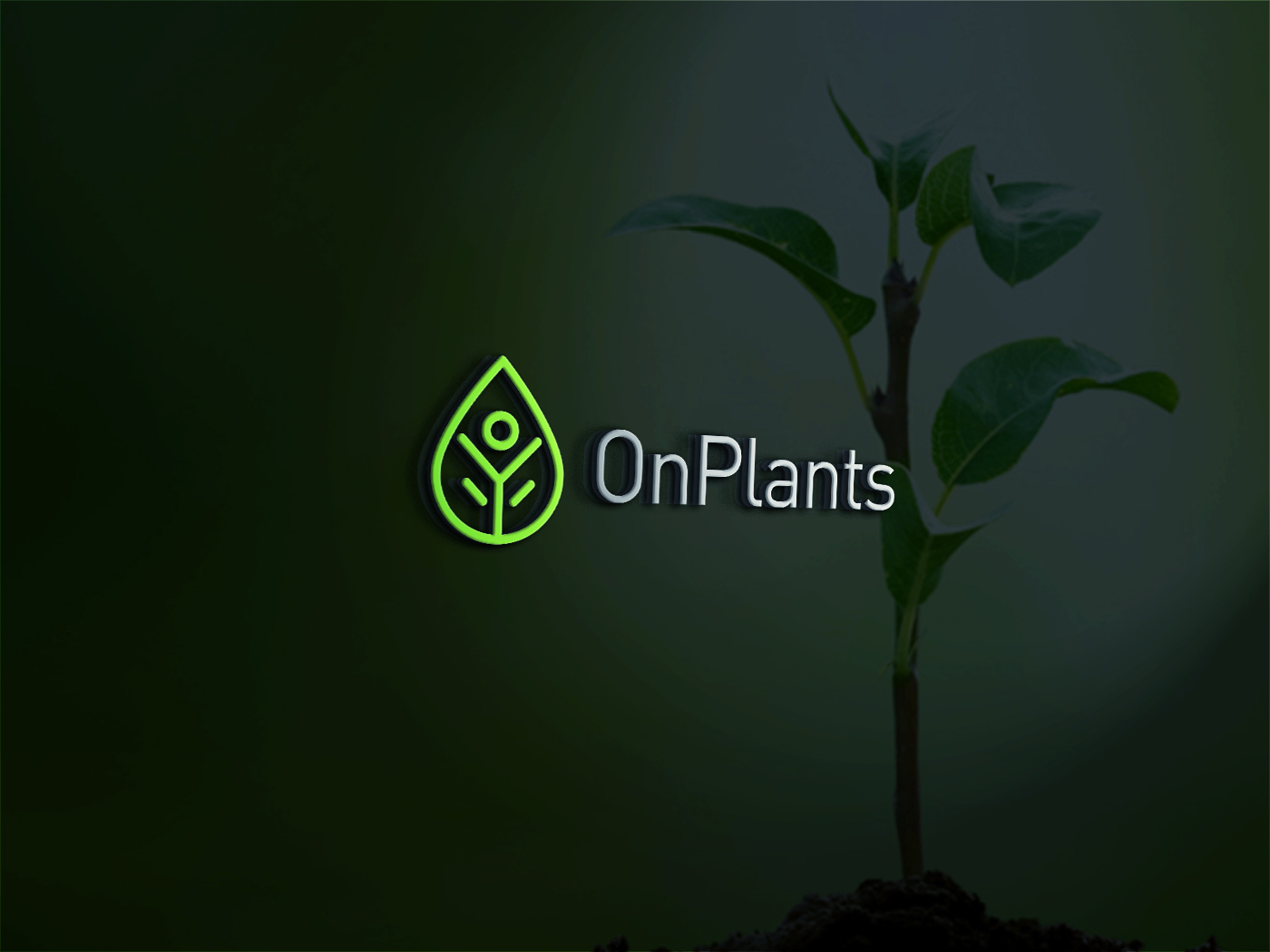 Logo Design by Deziners Zone for this project | Design #19407881