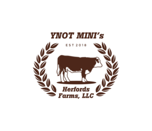 Logo Design by toothless99