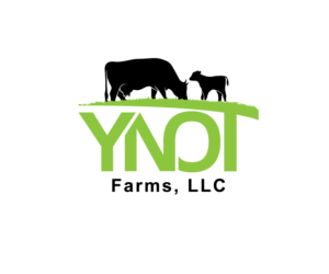 Logo Design by Mr  Destiny