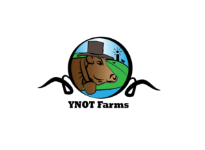 Logo Design by enissaydesigner for this project | Design #19409956