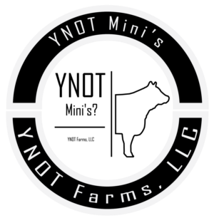 Logo Design by zachary Kilgore 2