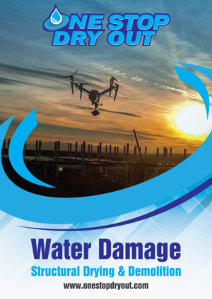 Flyer Design by Fusionex Studio