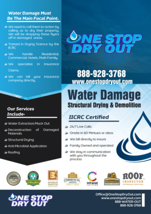 Flyer Design by Fusionex Studio for One Stop Dry Out, LLC | Design: #19410298