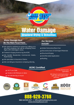 Flyer Design by Fusionex Studio for One Stop Dry Out, LLC | Design: #19432082