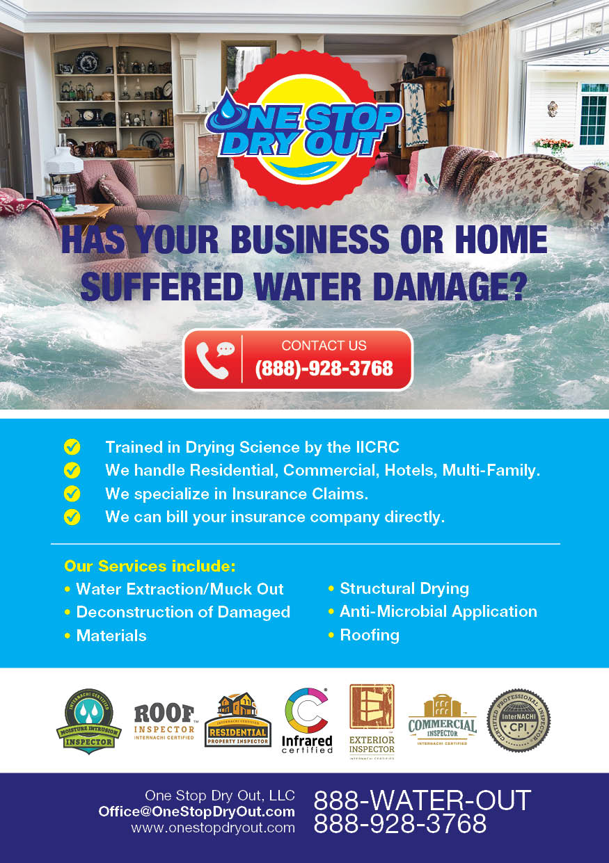 Flyer Design by sp3l4 for One Stop Dry Out, LLC | Design #19406638
