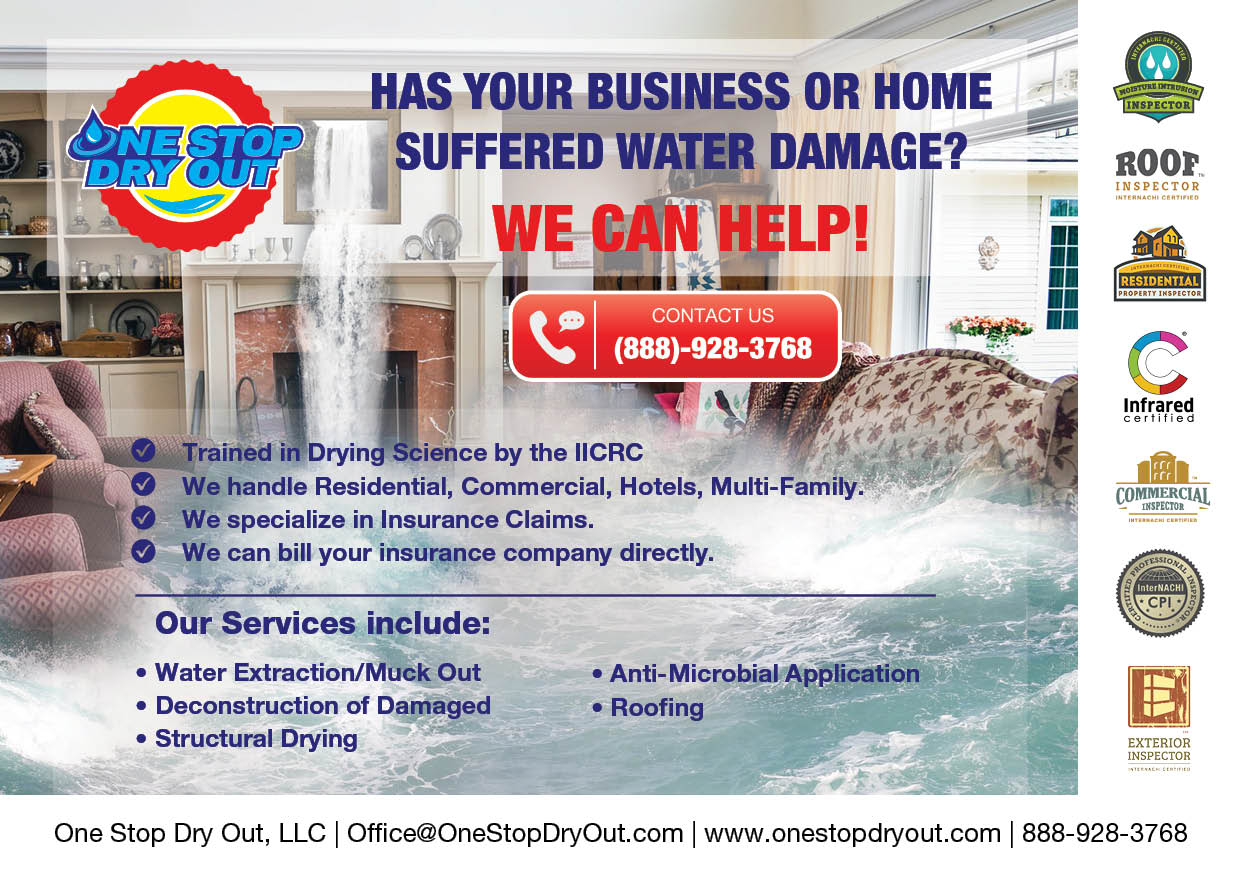 Flyer Design by sp3l4 for One Stop Dry Out, LLC | Design #19412386