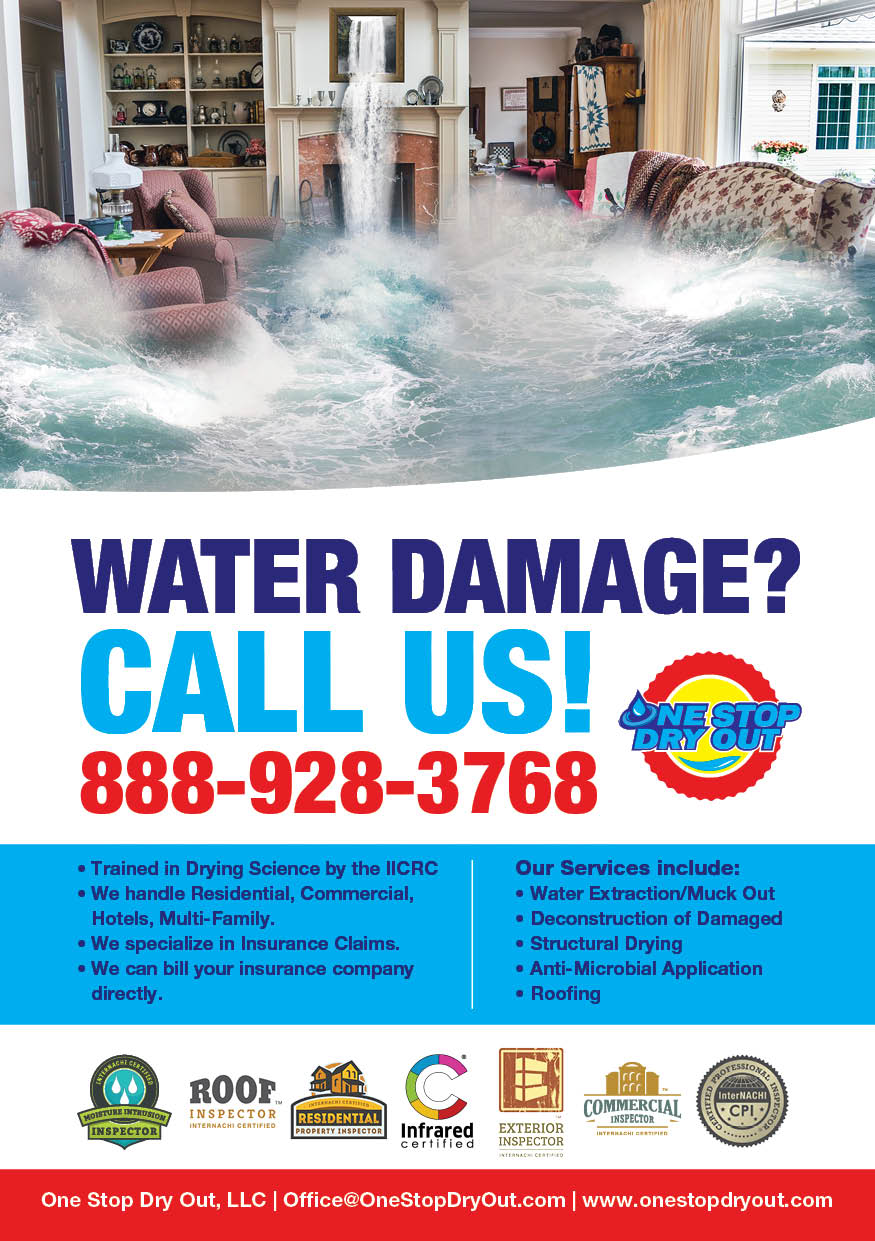 Flyer Design by sp3l4 for One Stop Dry Out, LLC | Design #19421327
