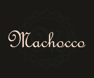 Logo Design by SM Makes Stuff