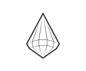 Prizm or Prizm Co or Prizm Company | Logo Design by NineOwl