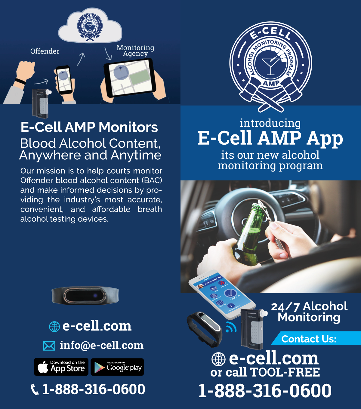 Flyer Design by Sergio Coelho for E-cell,inc | Design #19519256