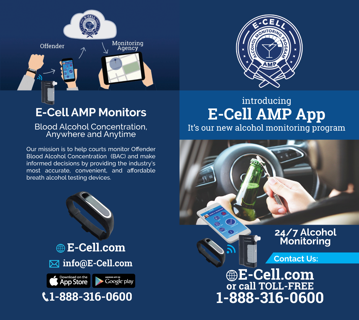 Flyer Design by Sergio Coelho for E-cell,inc | Design #19698187