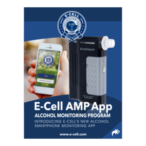Flyer Design by elveneclipse for E-cell,inc | Design: #19469194
