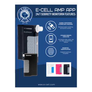 Flyer Design by EDesignN for E-cell,inc | Design: #19487550